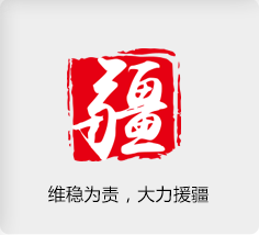 維穩(wěn)為責，大力援疆