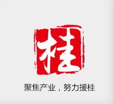 聚焦產(chǎn)業(yè)，努力援桂